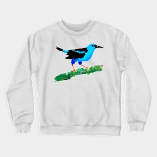 Red Legged Honeycreeper on Branch Crewneck Sweatshirt